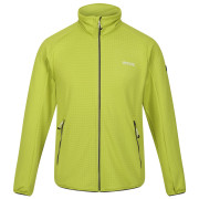 Sweat-shirt homme Regatta Highton Lite II green Green Algae