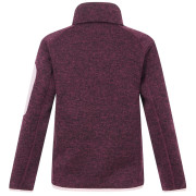 Sweatshirt enfant Regatta Junior Newhill Fig Powder Lilac