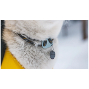 Collier pour chien Ruffwear Knot-a-Collar™