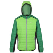 Veste homme Regatta Trutton II green Jasmine Green/Field Green