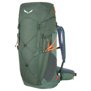 Sac à dos Salewa Alp Trainer 35+3 green DuckGreen