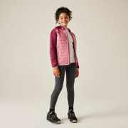 Veste enfant Regatta Junior Newhill Hybrid