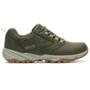 Chaussures homme Regatta Amble Low WP vert DkKhakWBro