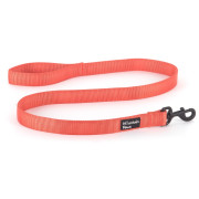 Laisse pour chien Mountain Paws Extra Tough Dog Lead orange Orange