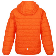 Veste enfant Regatta Jr Hooded Hillpck