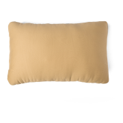 Coussin voyage Sea to Summit Foam Core Pillow - XL
