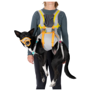 Harnais pour chien Ruffwear BackTrak™ Dog Evacuation Kit gris / orange Cloudburst Gray
