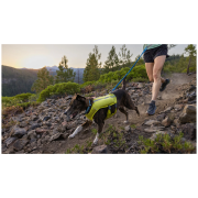 Laisse avec amortisseur Ruffwear Trail Runner™ Leash