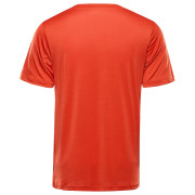 T-shirt fonctionnel homme Alpine Pro Basik