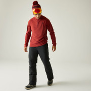 Pantalon homme Dare 2b Achieve III Insulated Pant