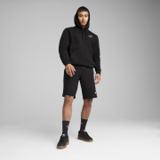 Sweat-shirt homme Puma ESS 2 COLOR Small No. 1 Logo Hoodie FL P