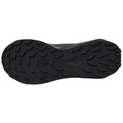 Chaussures femme Salomon Alphaglide Gore-Tex