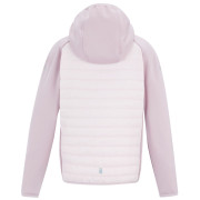 Veste enfant Regatta Junior Andreson Hybrid PowLilPinHze