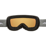 Masques ski Alpina Pheos S Q Lite