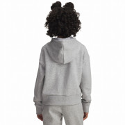 Sweatshirt enfant Under Armour Rival Fleece Crop Hoodie