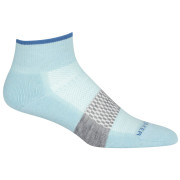 Chaussettes femme Icebreaker Women Multisport Light Mini bleue haze/azul/metro hthr