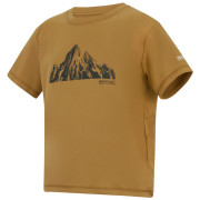 T-shirt enfant Regatta Alvarado Wood Brown
