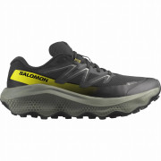 Chaussures homme Salomon Ultra Flow 2 Gore-Tex