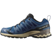 Chaussures randonnée homme Salomon Xa Pro 3D V9 Gore-Tex