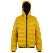 Veste homme Regatta Rigain