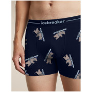 Caleçons fonctionnels homme Icebreaker Men M 150 Anatomica Boxers BearTourAOP