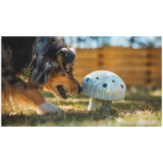 Jouet pour chien Ruffwear Porchini™