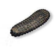 Tongs femme Gumbies Primrose