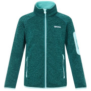 Sweatshirt enfant Regatta Junior Newhill DrkForGlacGr vert DrkForGlacGr