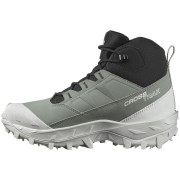 Chaussures femme Salomon Crosstrak Waterproof
