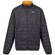 Veste homme Regatta Hillpack girs Ash(Orange Pepper)