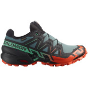 Chaussures de running hommes Salomon Speedcross 6 Gore-Tex bleu / vert North Atlantic / Black / Cherry Tomato