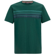 T-shirt homme Regatta Rendro vert Mediterranea