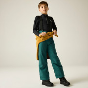 Pantalon de ski enfant Dare 2b Outmove III Insulated Pant Mediterranea