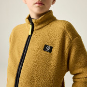 Sweatshirt enfant Dare 2b Zesty II Fleece Wood Brown