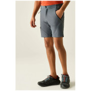 Shorts homme Regatta Xert Stretch Shorts