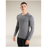 T-shirt homme Icebreaker Mens 200 Oasis LS Crewe