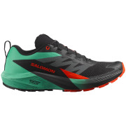 Chaussures de running hommes Salomon Sense Ride 5