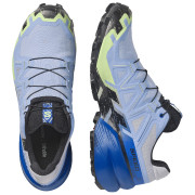 Chaussures de running hommes Salomon Speedcross 6 GTX Icon