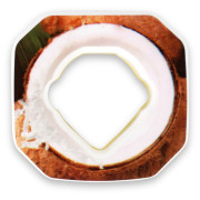 Capsule odorante Scent Air Hydration Falco