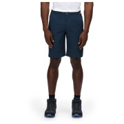 Short homme Regatta Highton ShortLong