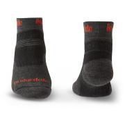 Chaussettes Bridgedale Hike MW MP Ankle