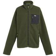 Sweatshirt fonctionnel homme Regatta Frankie Borg Fleece kaki / noir Dark Khaki