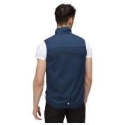 Gilet homme Regatta Lankin IV