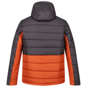 Veste homme Regatta Nevado VI