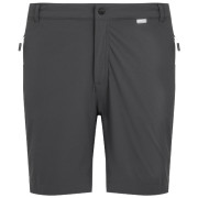 Shorts homme Regatta Mountain ShortsII M