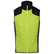 Gilet homme Regatta Halton BW VI jaune / noir BriKiwi/Blk