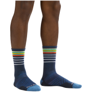 Chaussettes homme Darn Tough Stride Micro Crew Ultra-Lightweight