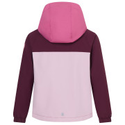 Veste enfant Regatta Hanleigh Fig