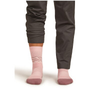 Chaussettes femme Icebreaker Women Merino Hike+ Medium Crew Across the Peaks