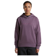 Veste polaire fonctionnelle femme Icebreaker W Mer 360 RealFleece Elemental LS Hood
